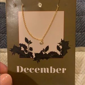 Delicate December Gold Necklace